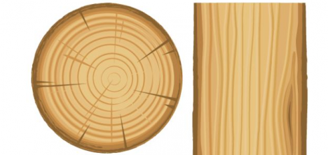 Troncos de madera